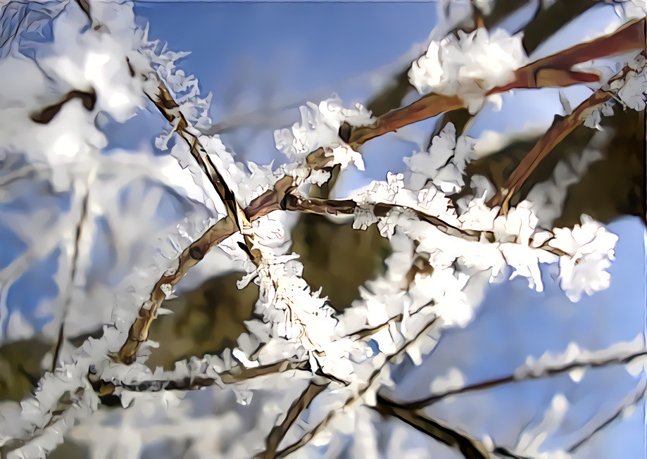 After the Ice Storm, Waterford, Maine V1. Source is my own photo.