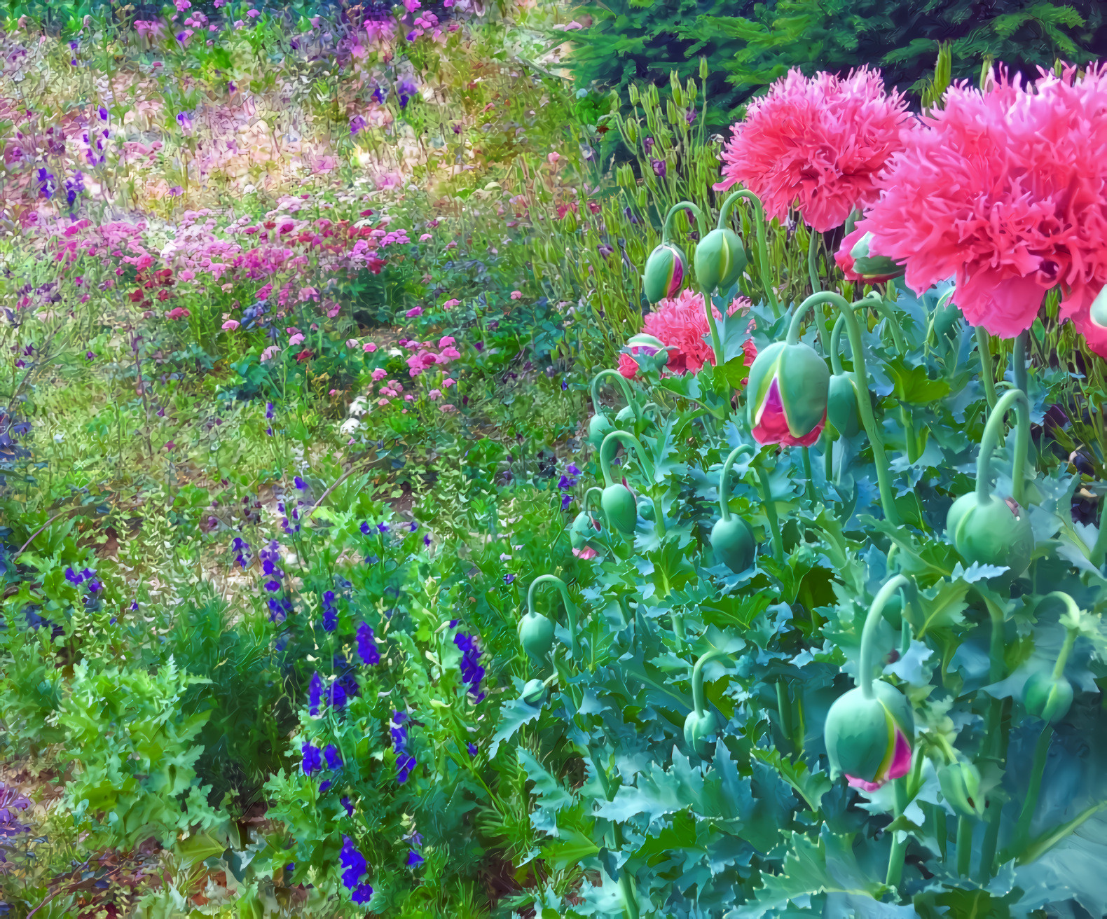 Flowers in Sarajevo, Bosnia-Herzegovina