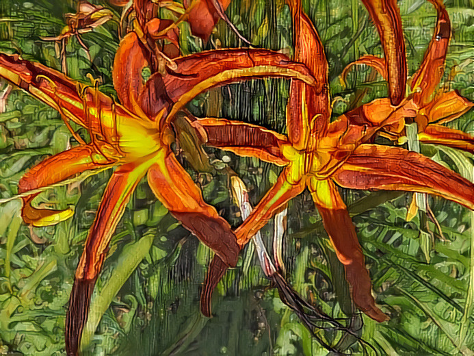 Daylily #2.