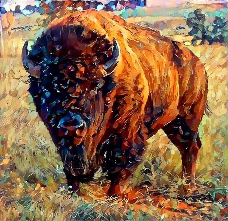 Buffalo