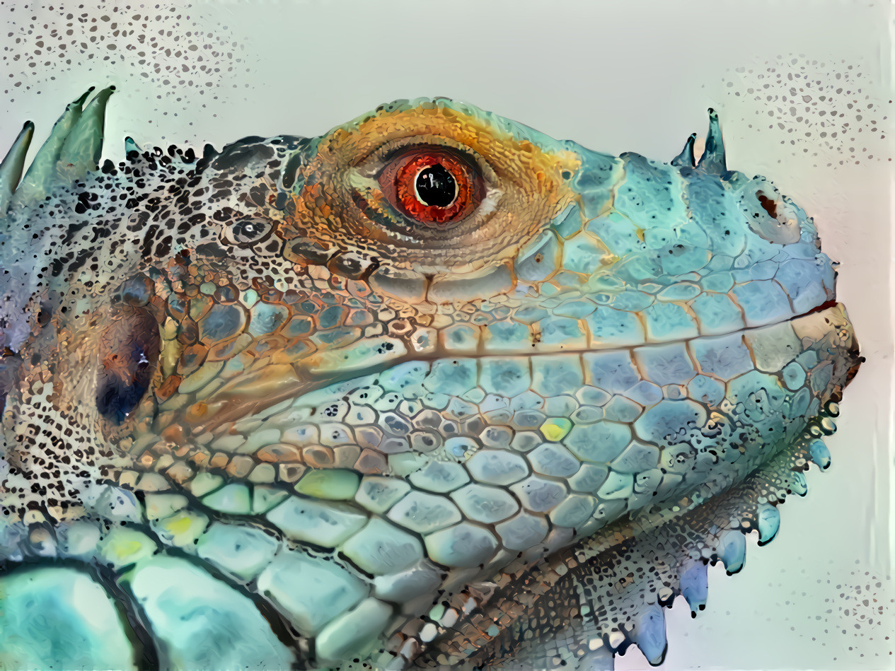 Iguana