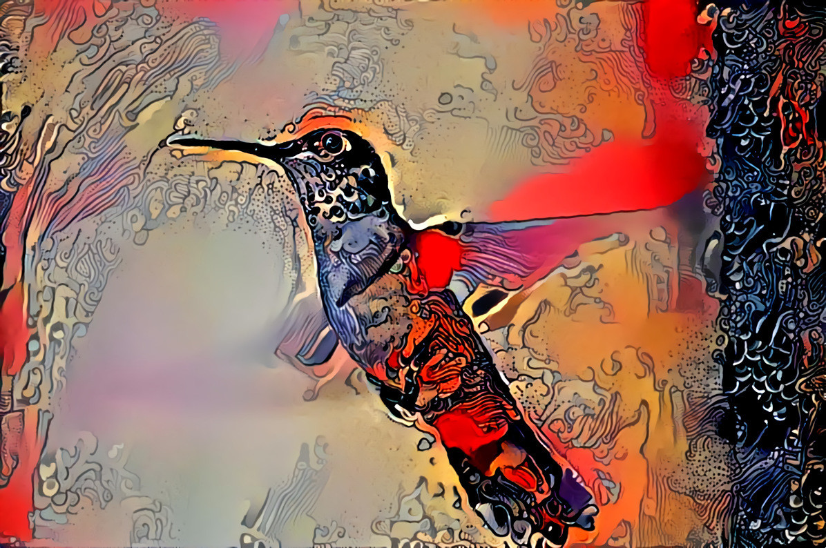 The Hummingbird