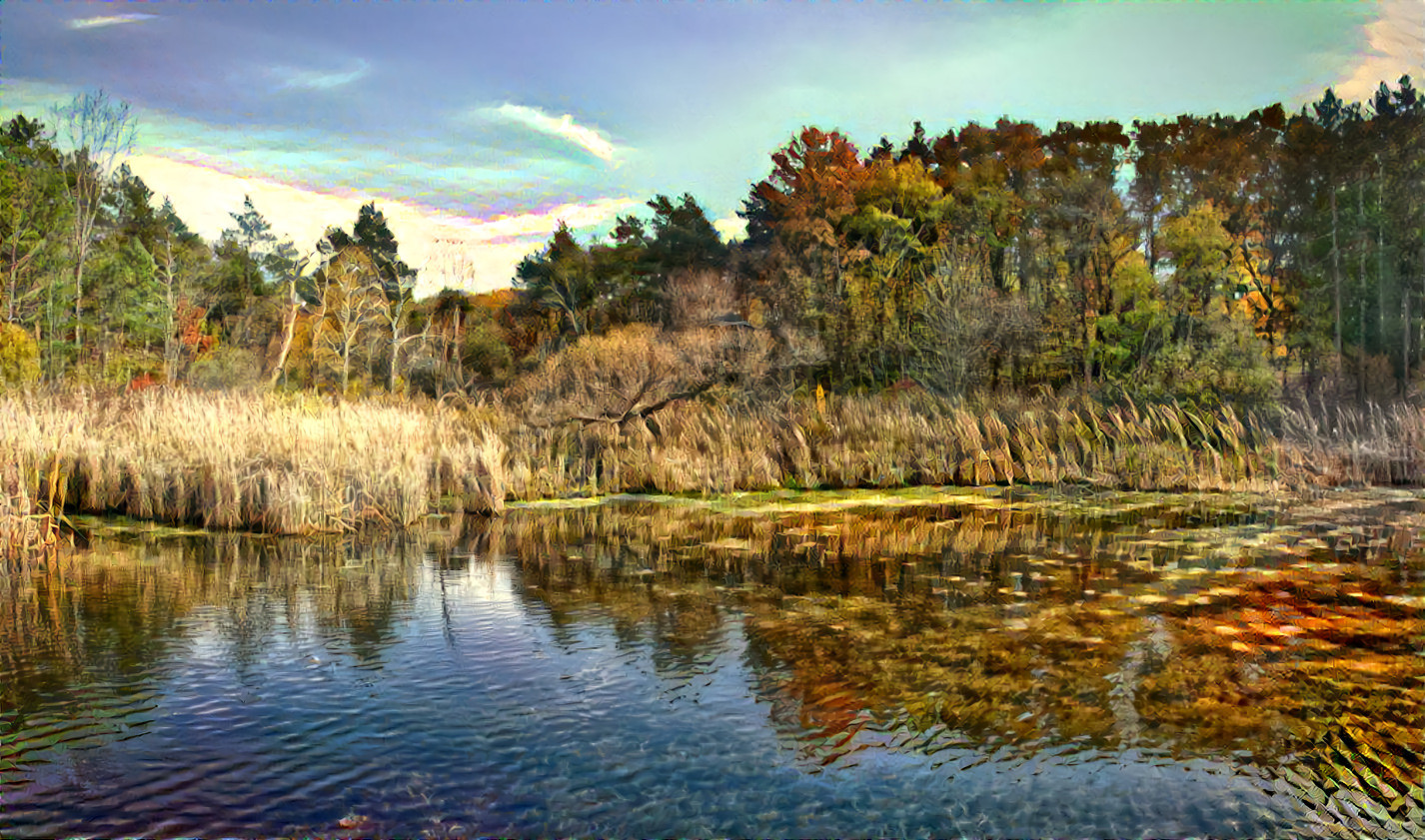 Autumn on the marsh 2