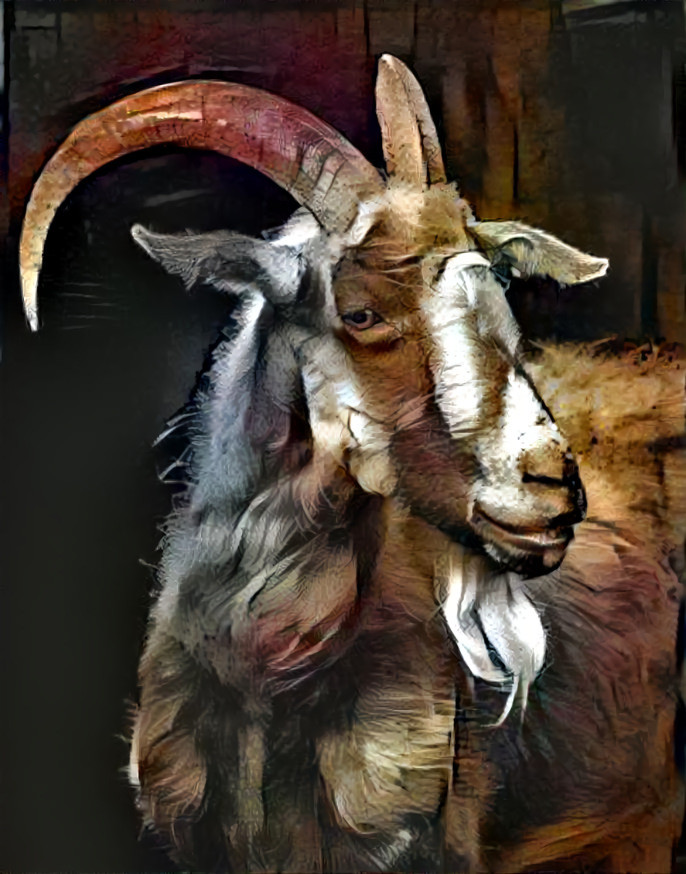 Goat Portrait