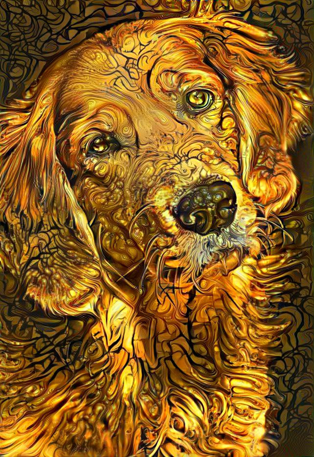 Golden Lab