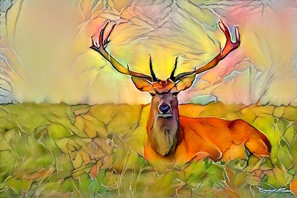 Le cerf au bois dormant