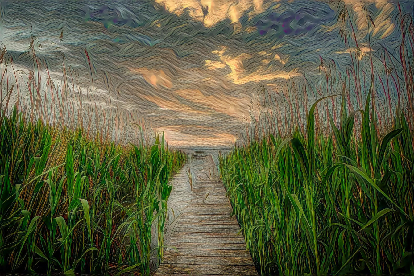 Boardwalk Through the Reeds