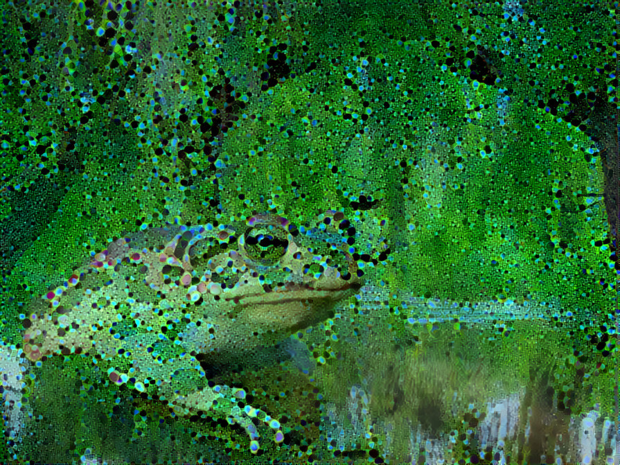 Fractal Frog Pond