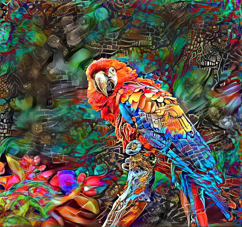 Scarlet Macaw 