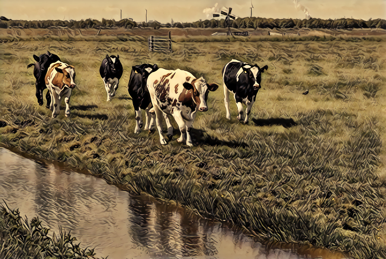 Happy cows.