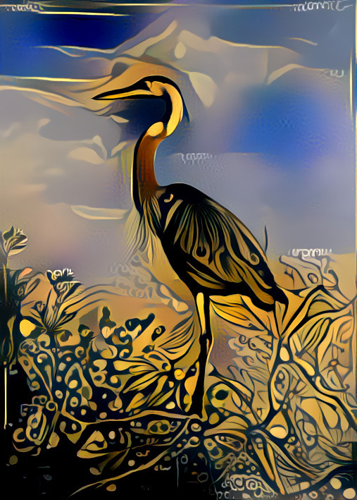 Florida Heron