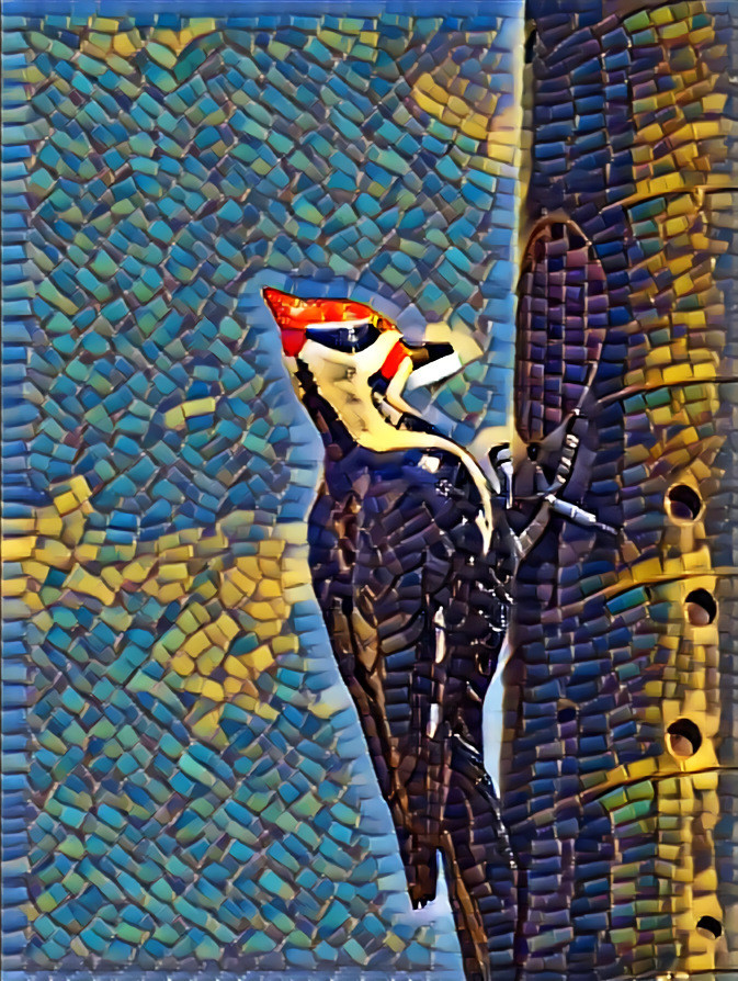 Toronto's Woodpecker column