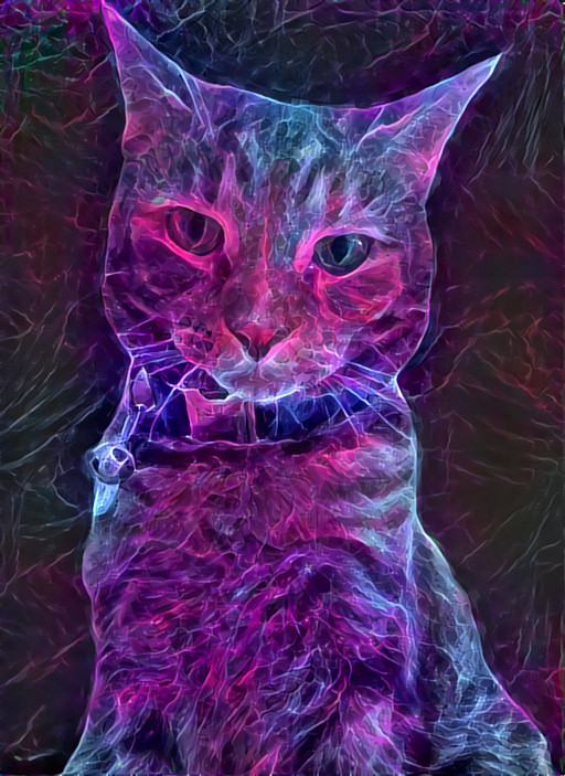 Void Cat