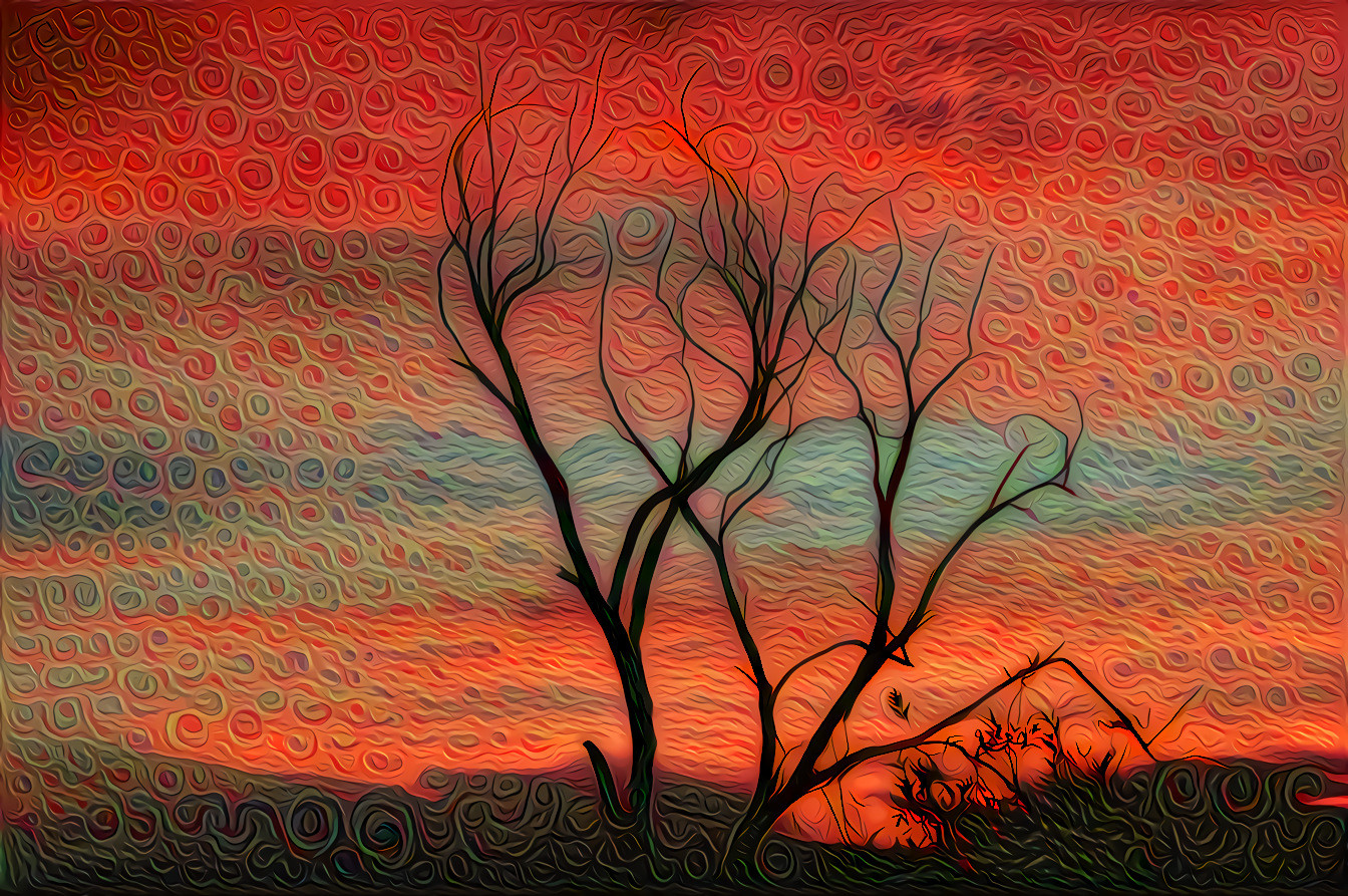 Tree and Sunset