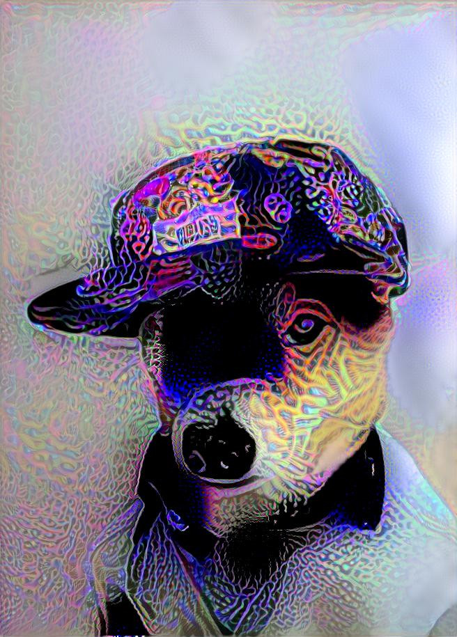 trippy dog