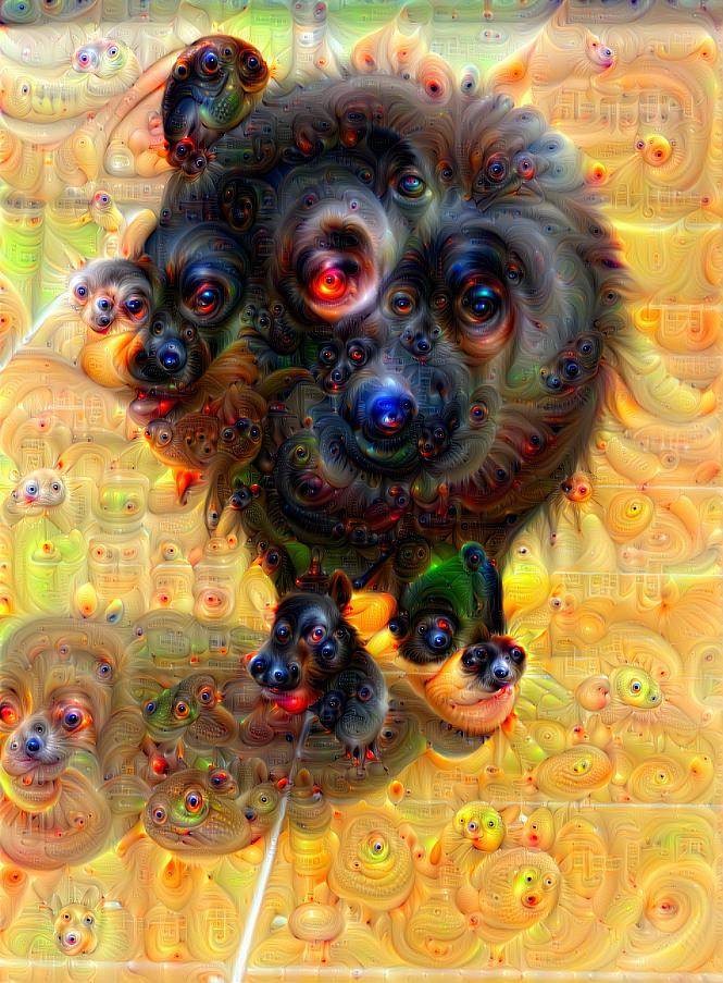 pomeranian deep