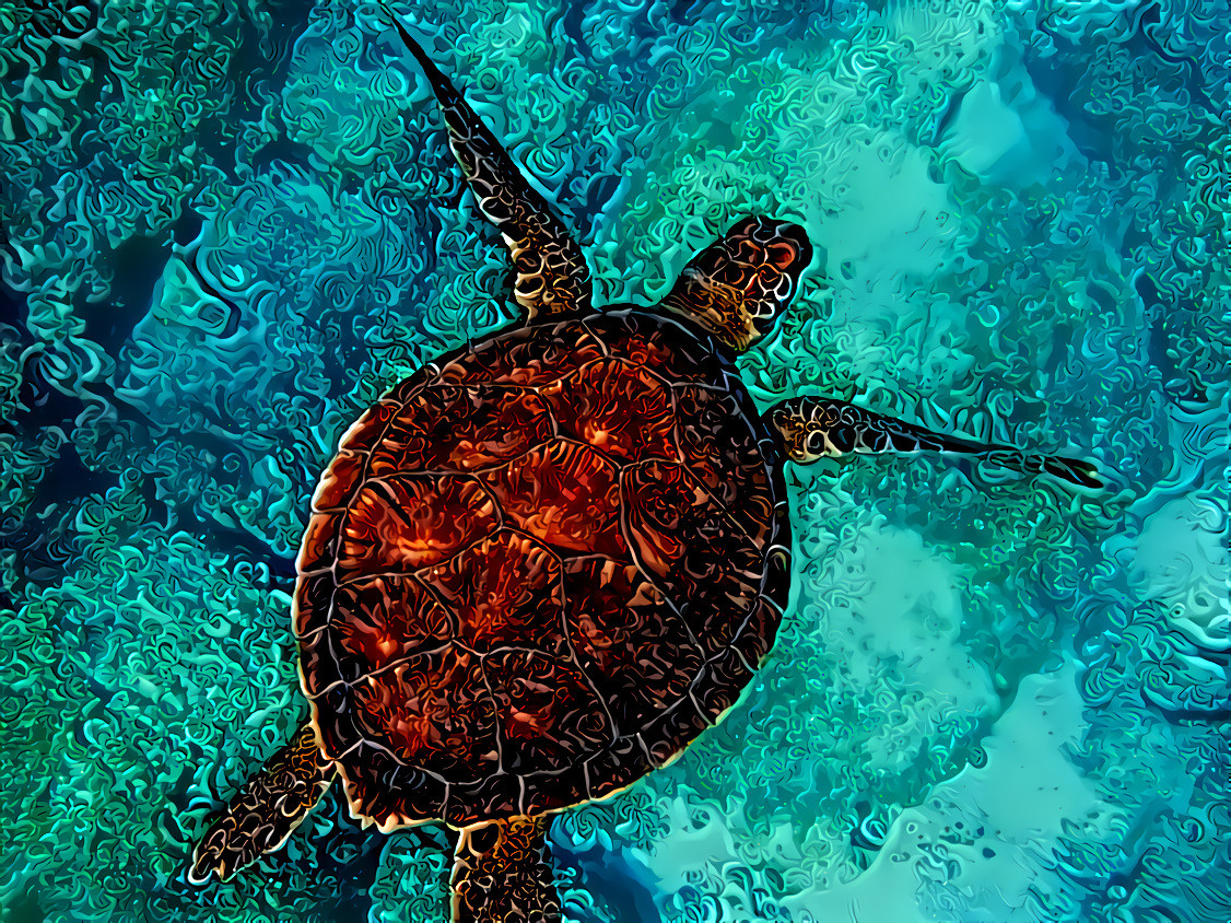 Sea turtle