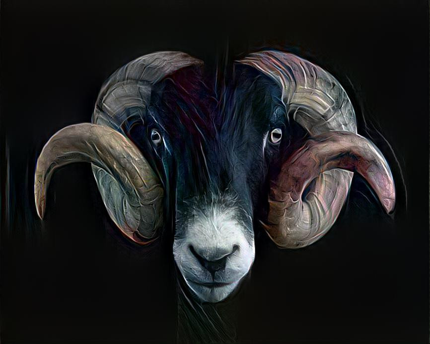 Ram