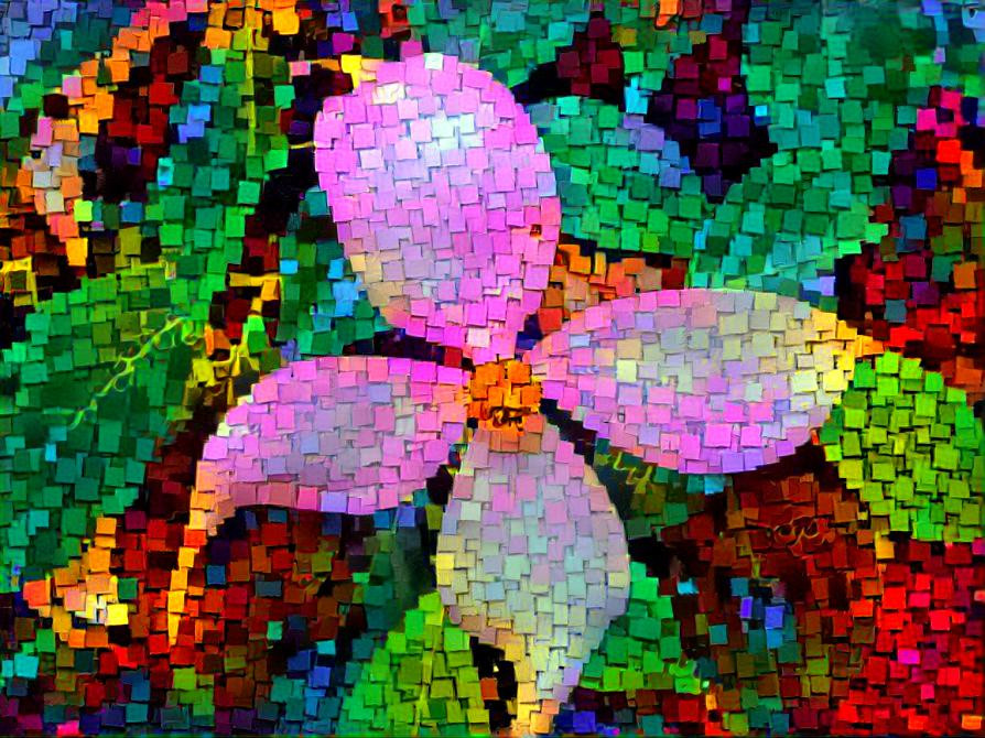 Colorful Tree Blossom Among the Green Leaves