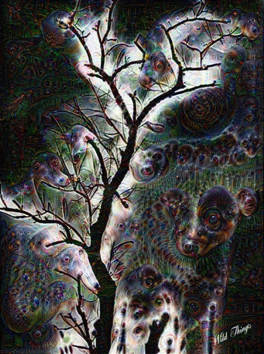 Lightning Tree Dreams