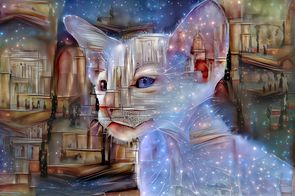 Astral Cat