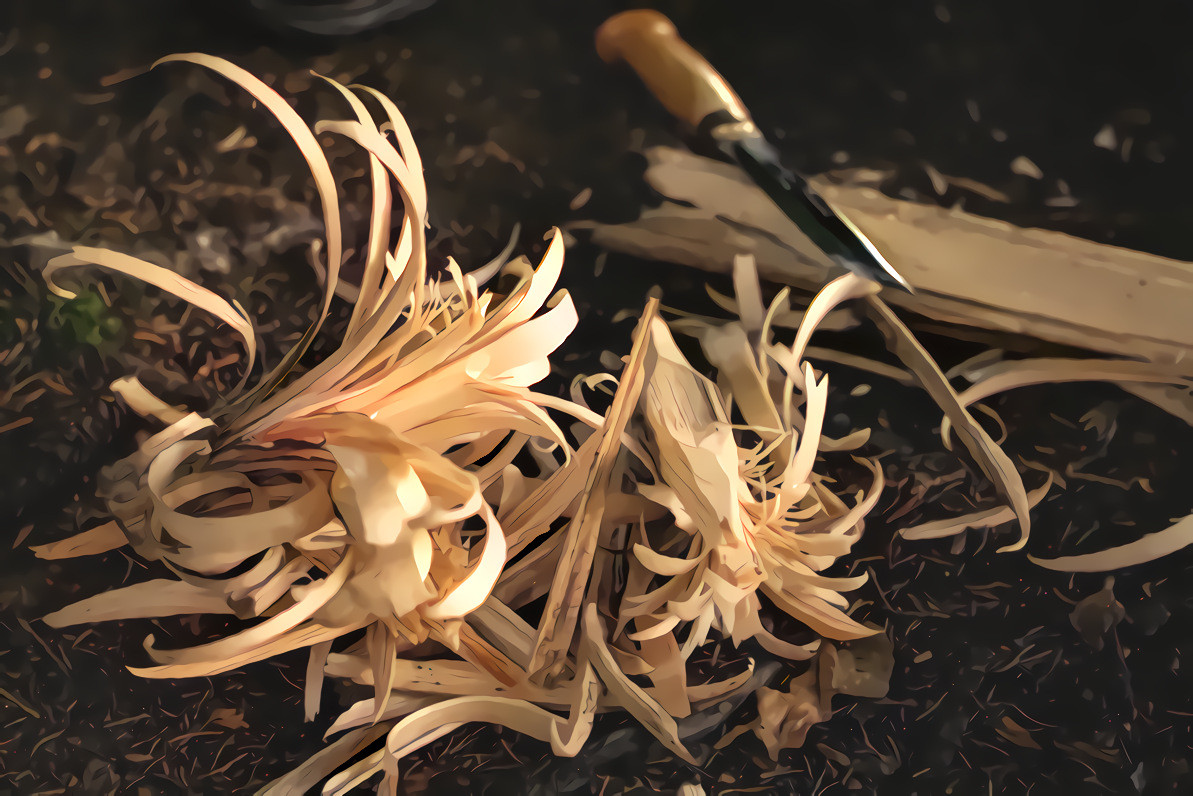 Carved wood flowers