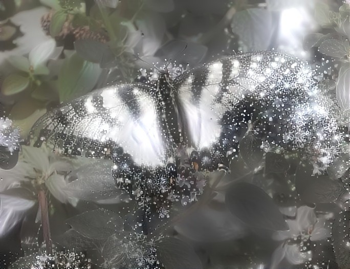 Swallowtail In The Moonlight