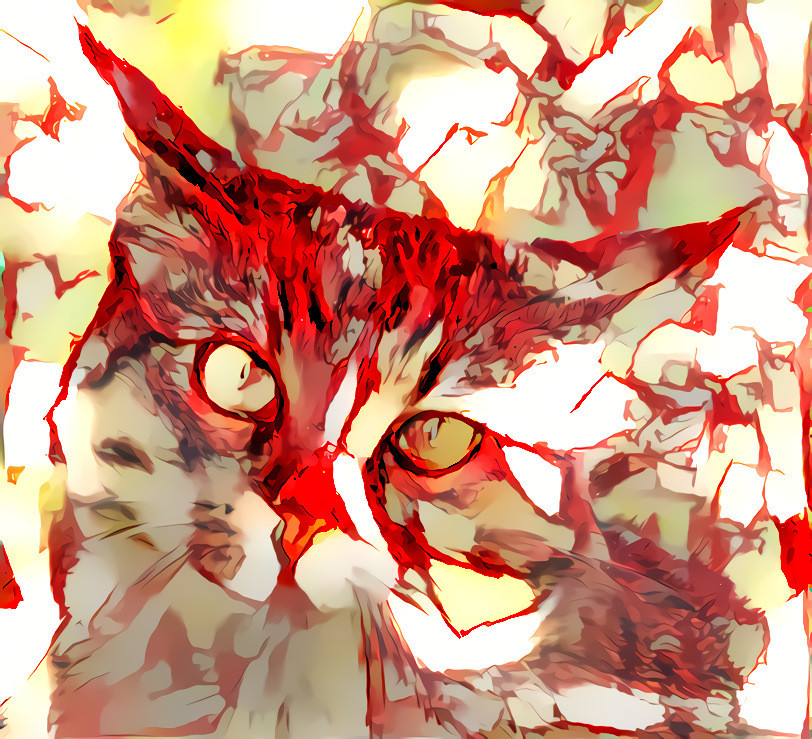 Cleocatra