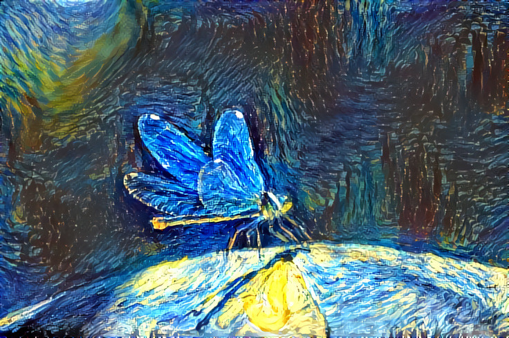 Dragonfly dream blue