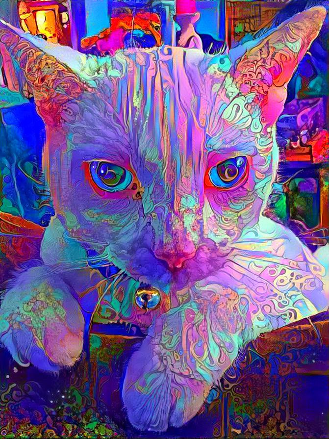 florescent cat