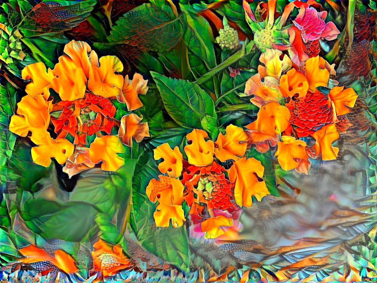 Orange Lantana Flowers