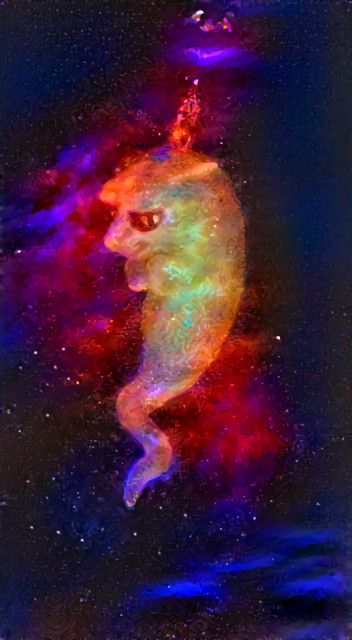 Space Cat