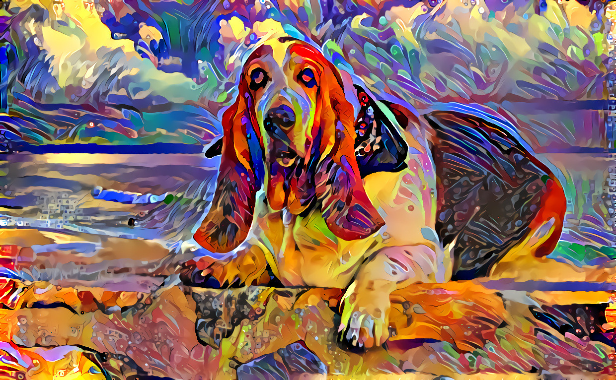 Basset Hound 2