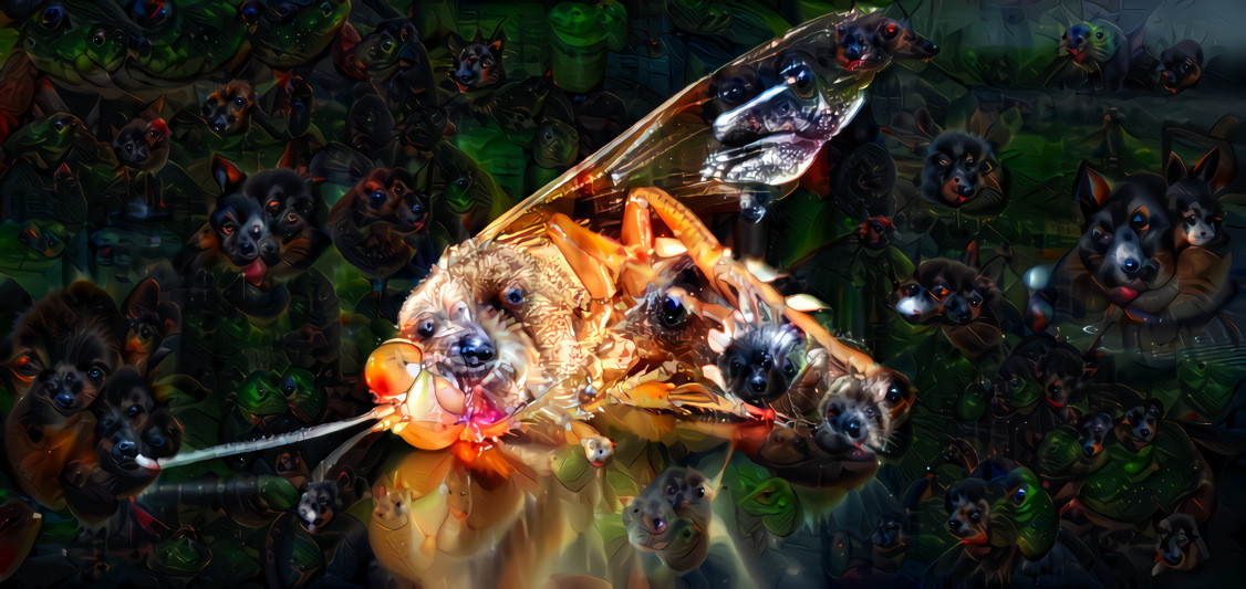 Cicada Killer Deep Dream