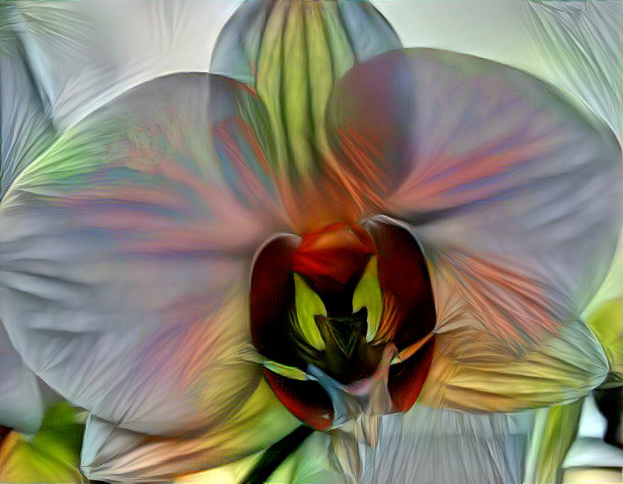 White Orchid