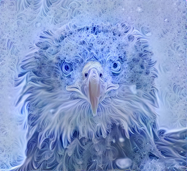 Snow Eagle