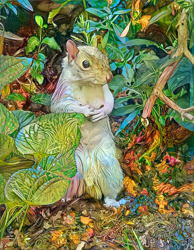 White Squirrel in Wonderland