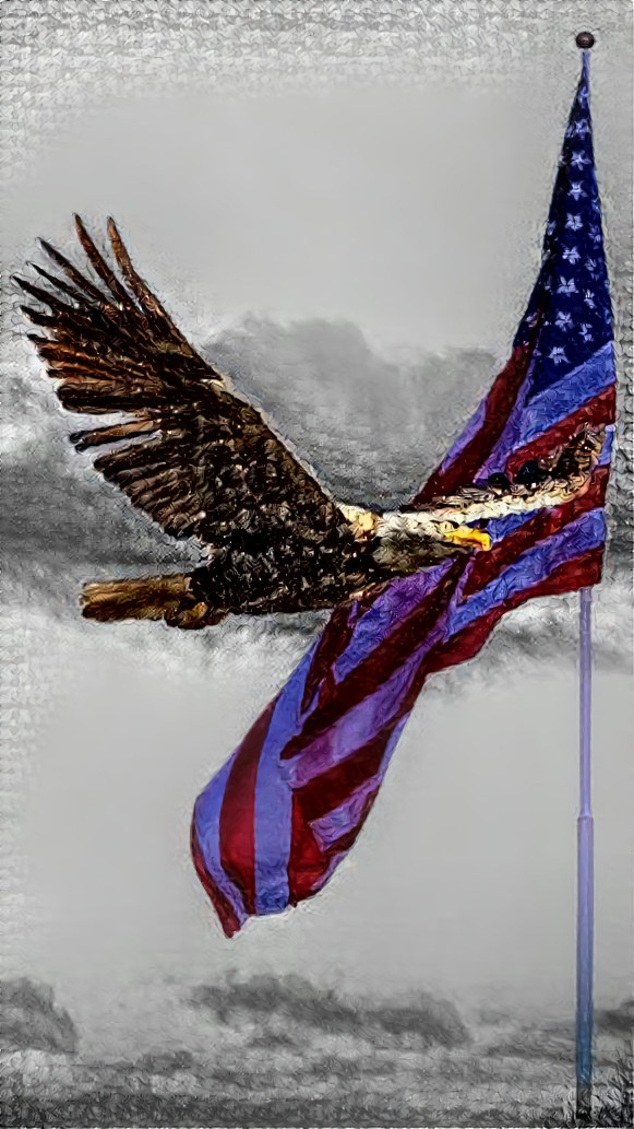 USA_FLAG_AMERICAN_EAGLE_dd