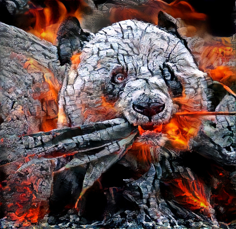 the burnt panda