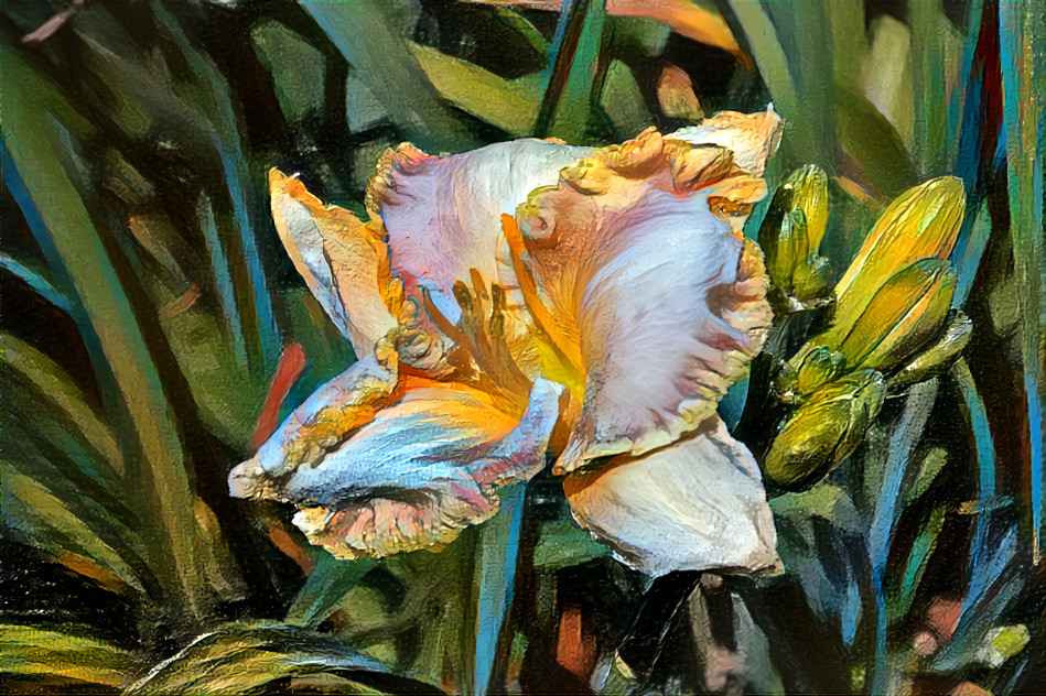 Day Lily 