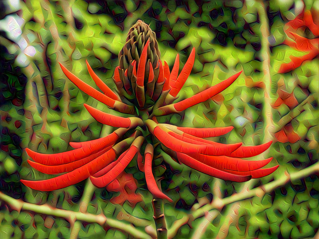 Tropical Red Flower