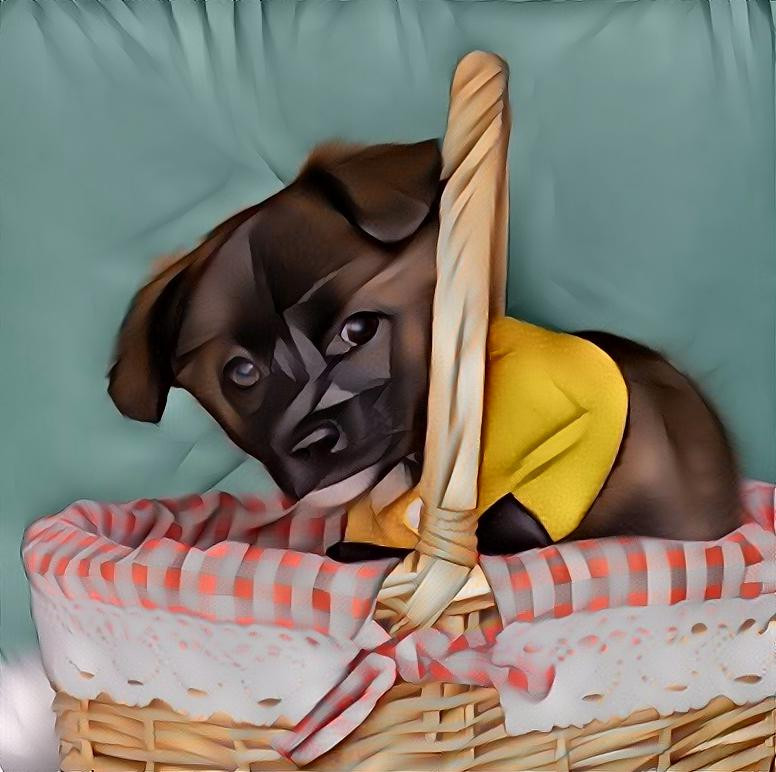 Puppy in a Basket