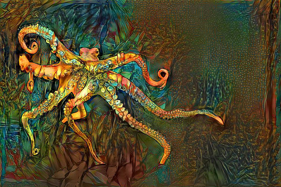 Octopus