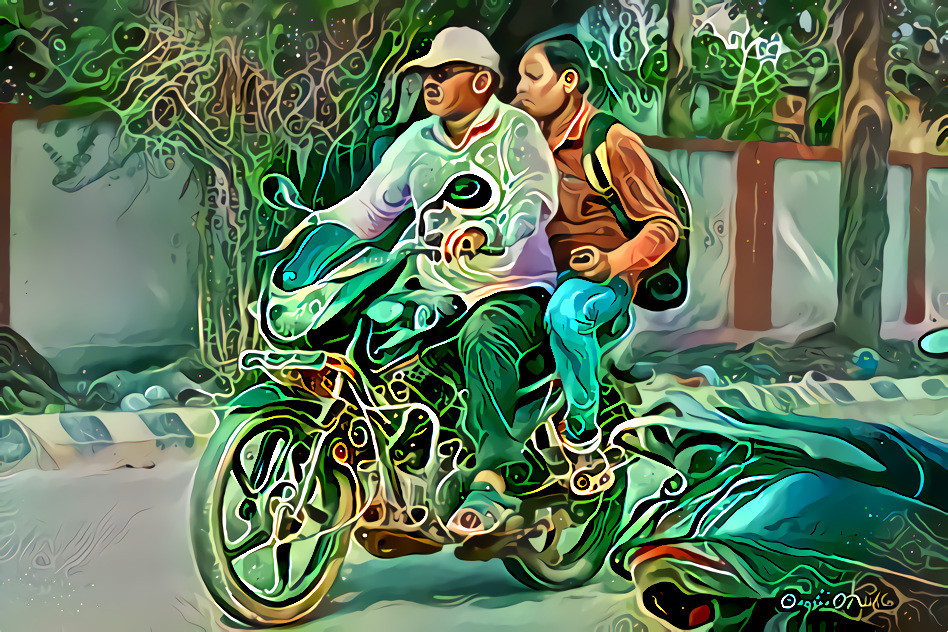 THE BIKE RIDER........