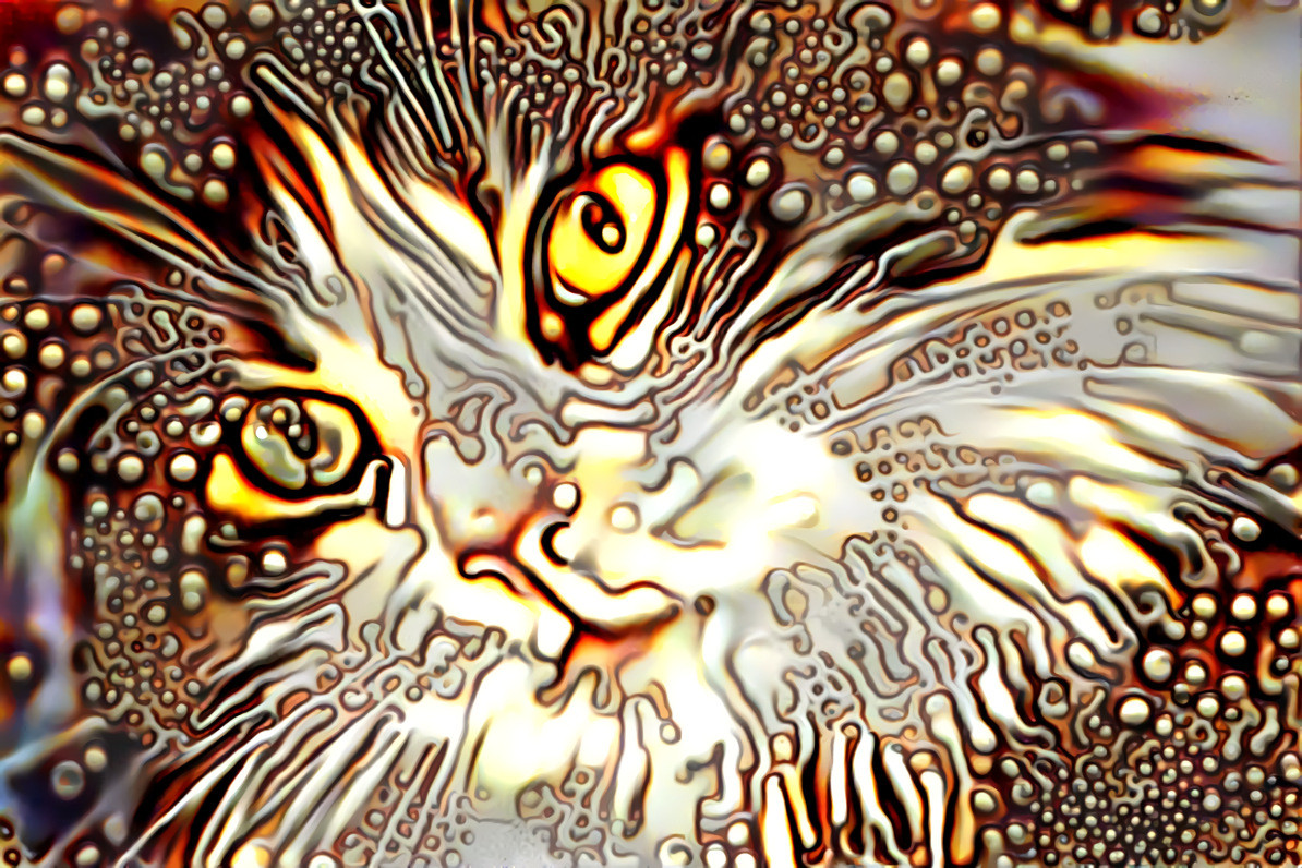 Reaction-Diffusion Cat