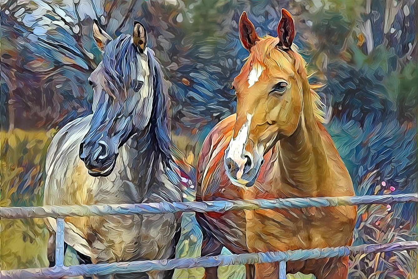 Two horses