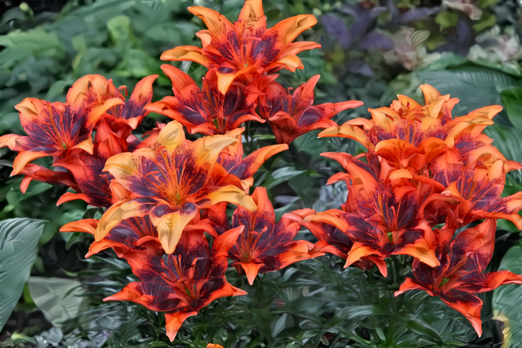 Yellow Dark Red Lilies