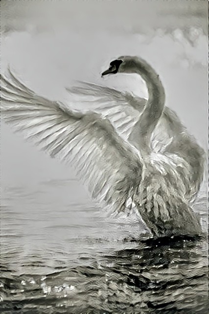 White Swan #2