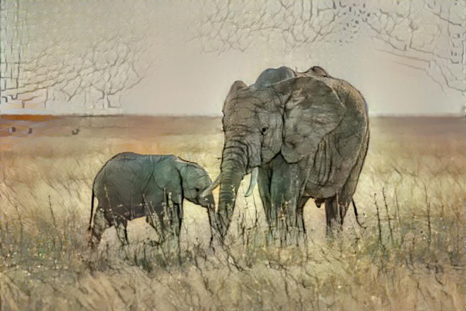 Elephant mum and baby