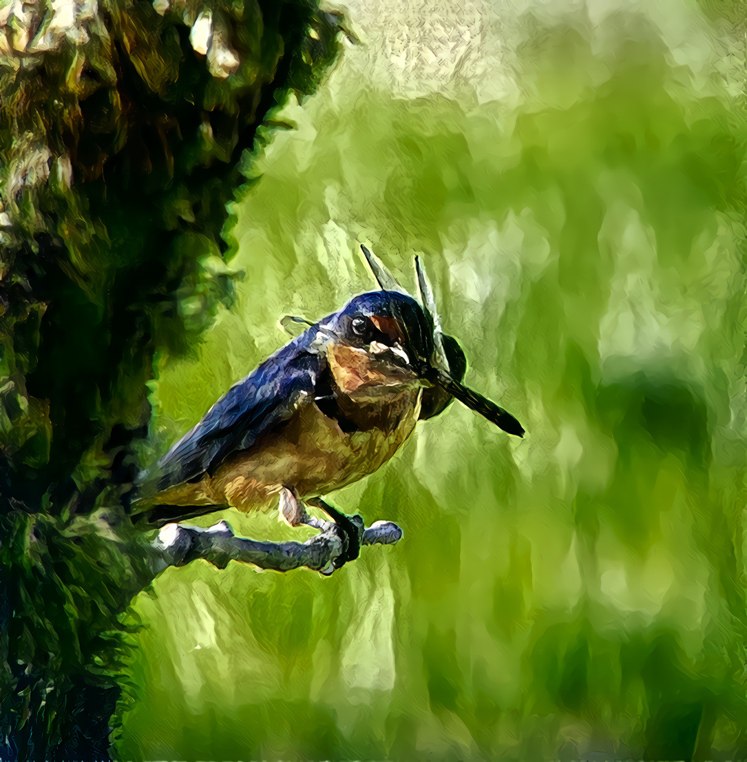 Swallow with a Dragonfly Lunch